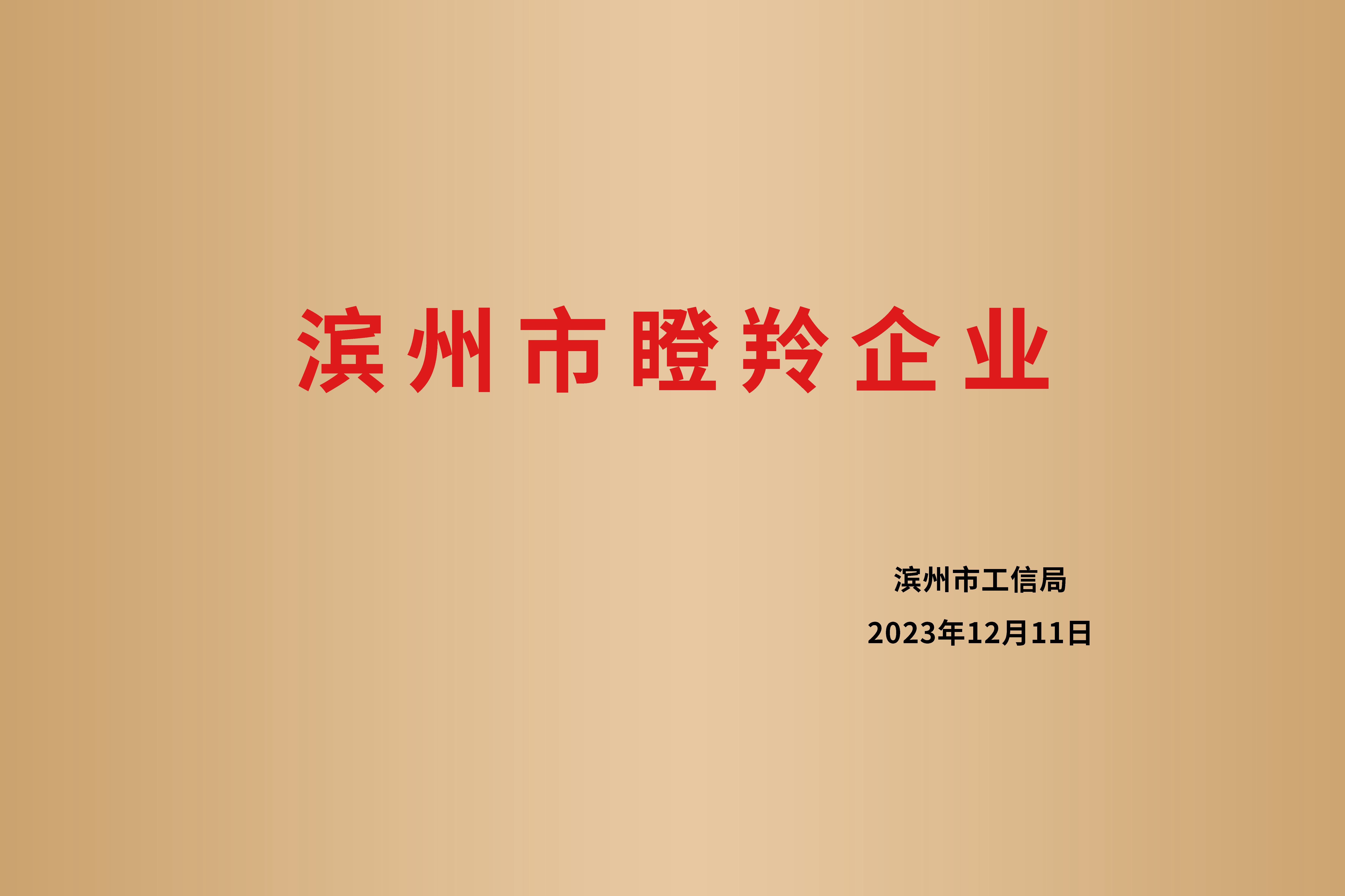 滨州市瞪羚企业(图1)